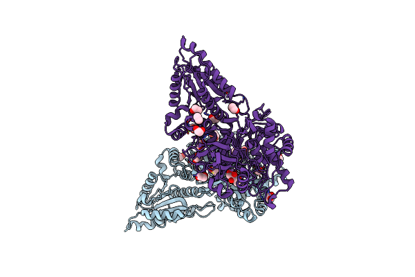 4C21 image