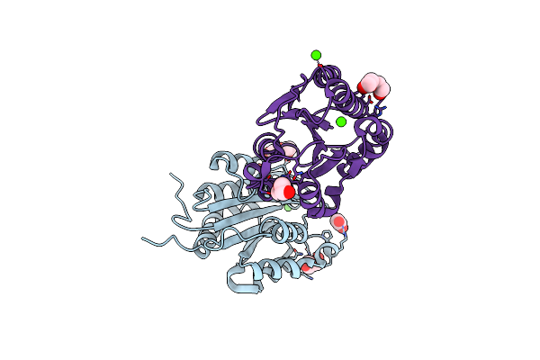4C29 image