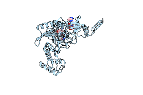 4C2C image