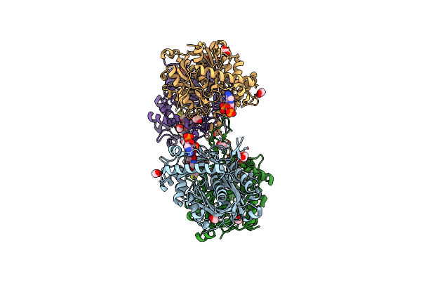 4C2J image