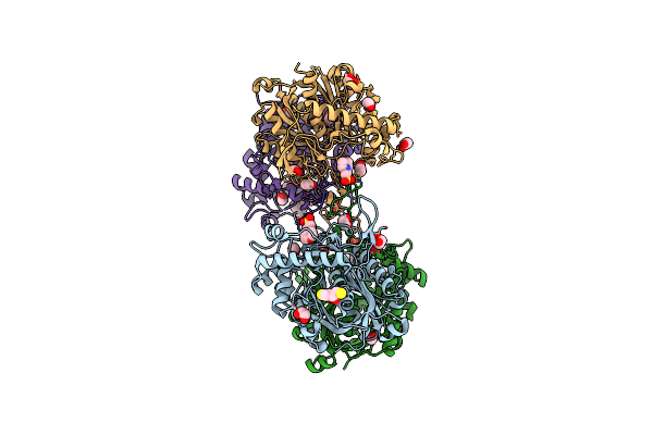 4C2K image