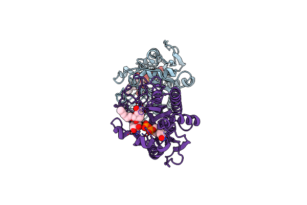 4C2S image