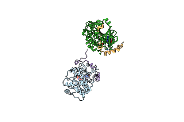 4C2W image