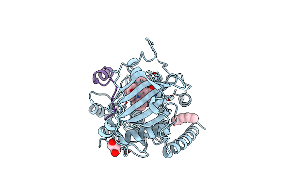 4C34 image