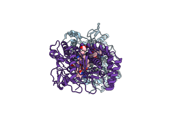 4C3A image