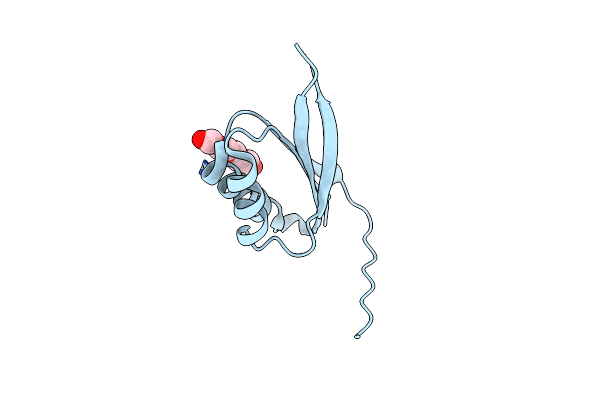 4C3L image