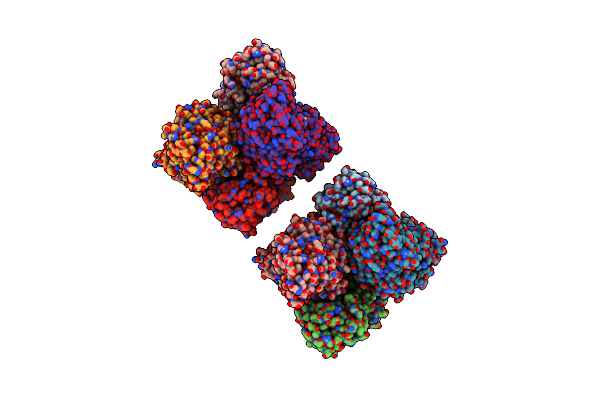 4C3Y image