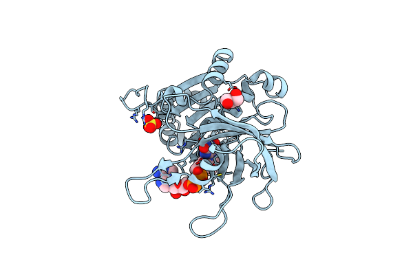 4C43 image