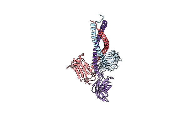 4C47 image