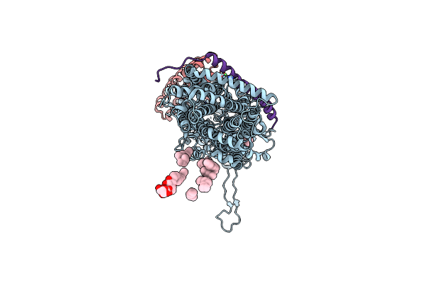 4C48 image
