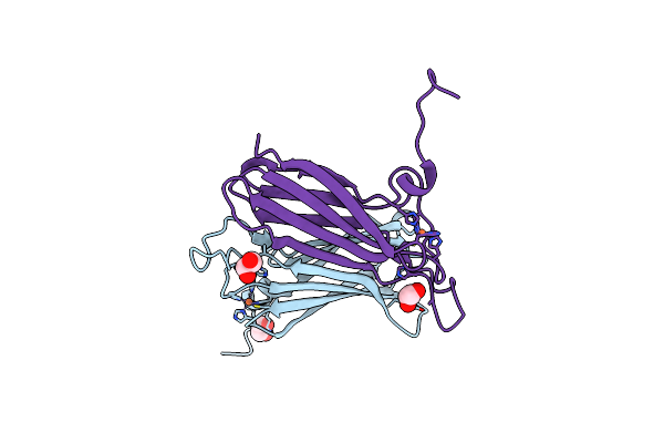 4C4B image