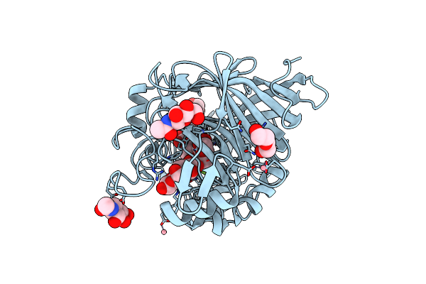 4C4D image