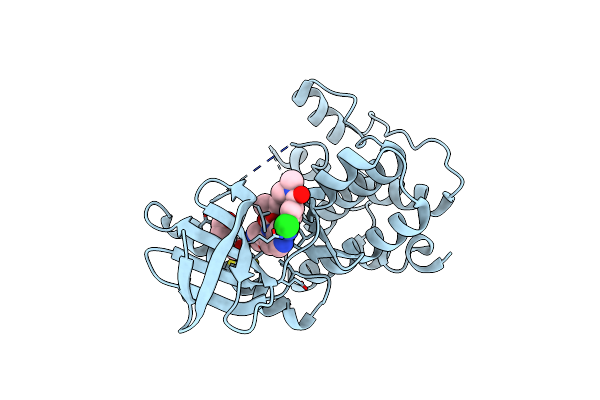 4C4I image