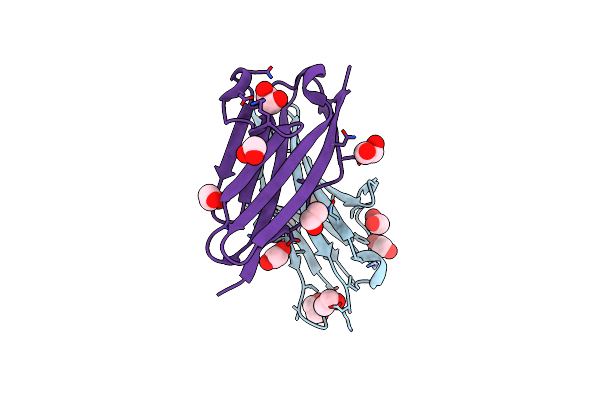 4C4K image
