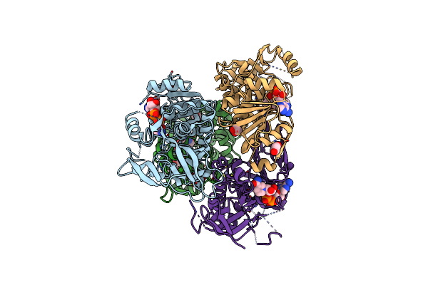 4C4O image
