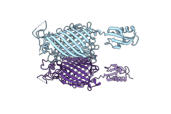 4C4V image