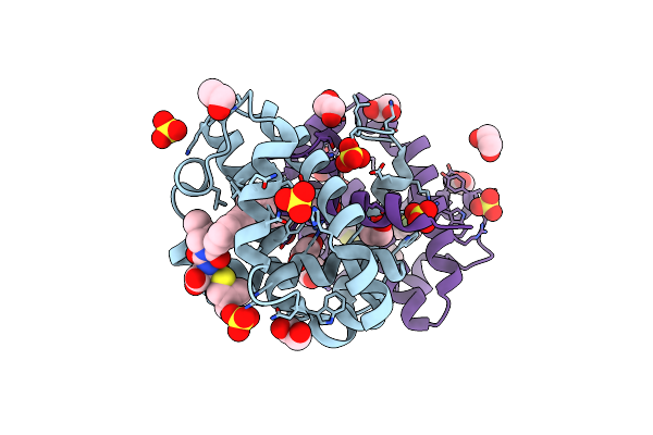 4C52 image