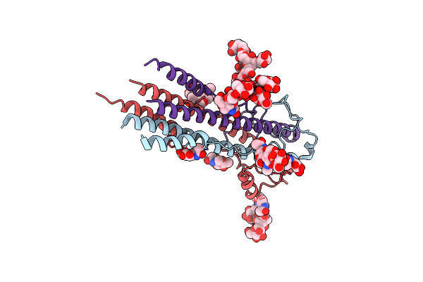 4C53 image