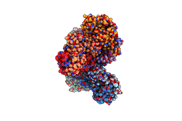 4C56 image