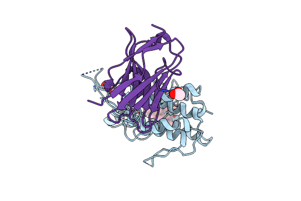 4C58 image