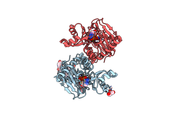 4C5A image
