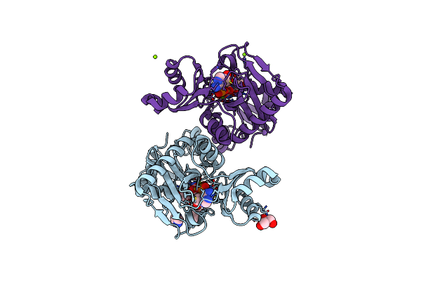 4C5B image