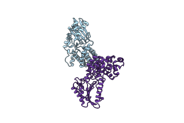 4C5F image
