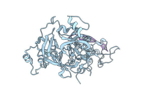 4C5G image