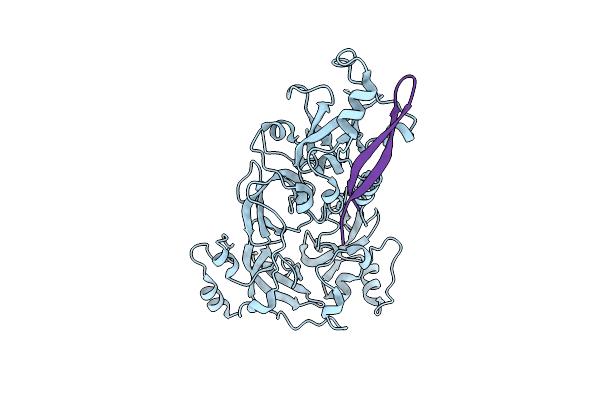 4C5H image