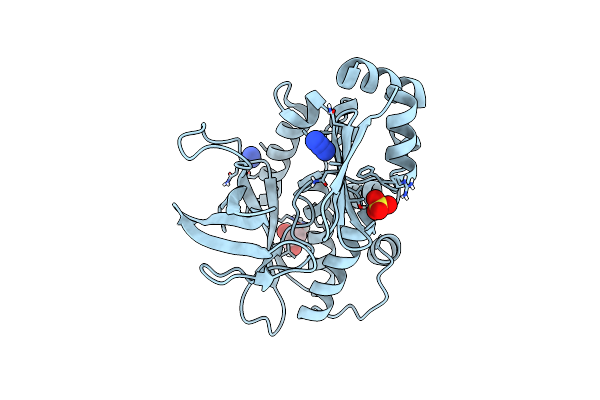 4C5P image