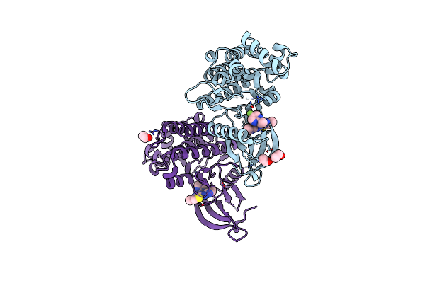 4C61 image