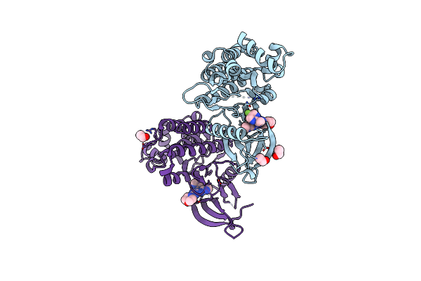 4C62 image