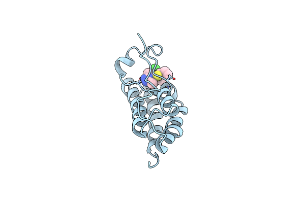 4C66 image