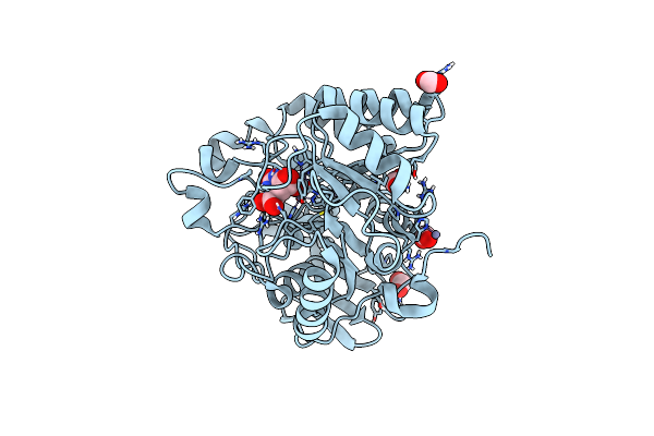 4C6D image