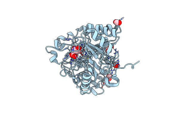 4C6F image