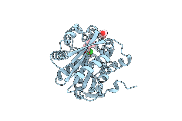 4C6H image