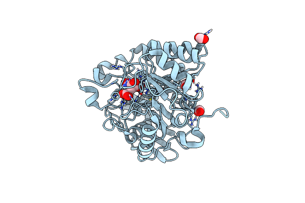 4C6J image