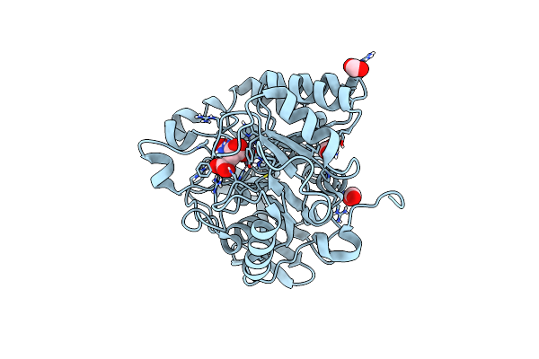 4C6K image