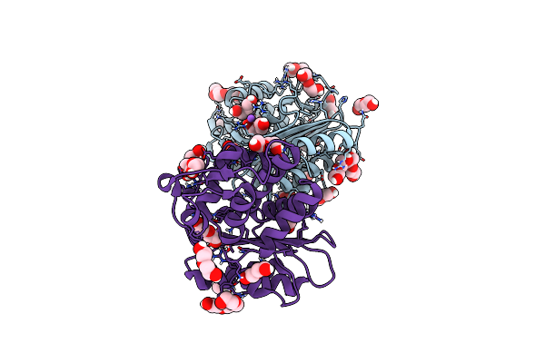 4C6Y image