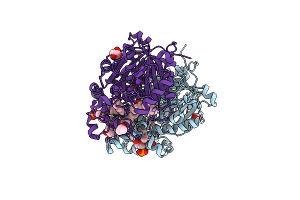 4C70 image