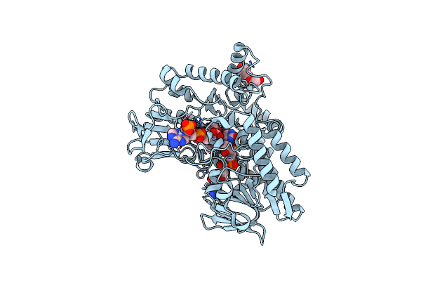 4C74 image