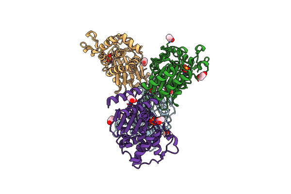 4C75 image