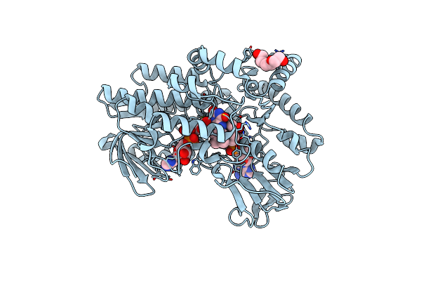 4C77 image