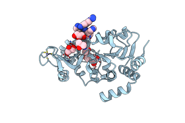 4C7B image