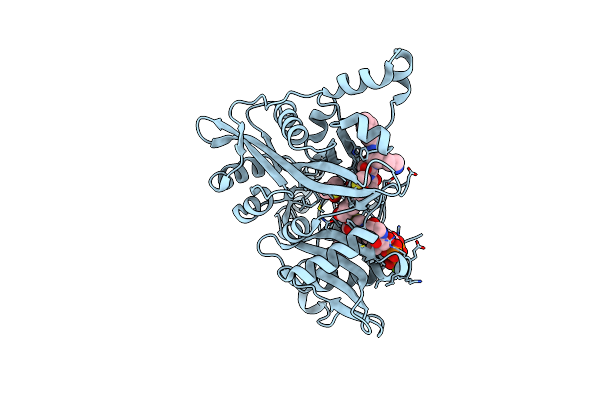 4C7I image