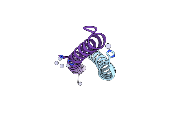 4C7N image