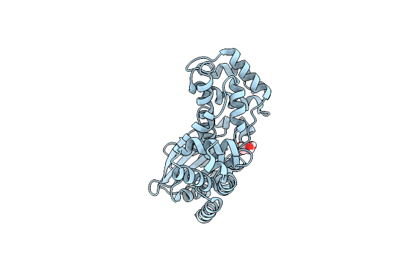 4C7P image