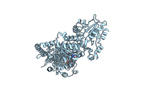 4C7X image