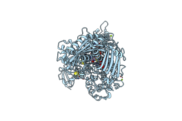 4C7Z image