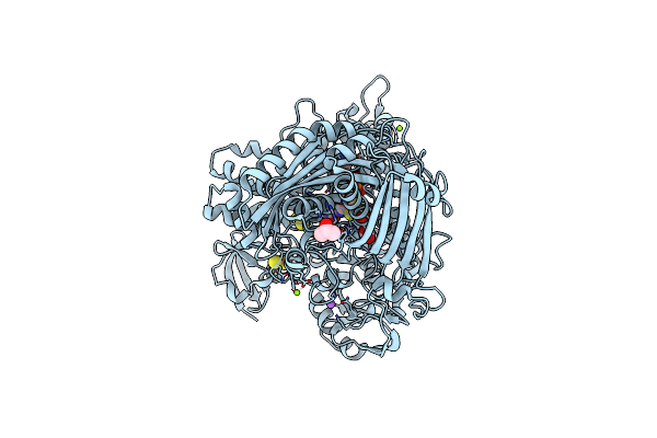 4C80 image